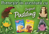 Porneşte în aventură cu Original Pudding!